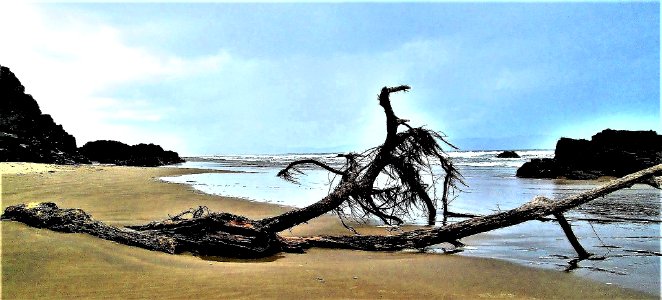 A LITTLE BIT OF BEACH ART.....