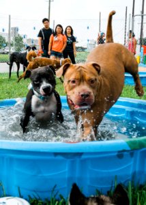Turn up with your PUP-79