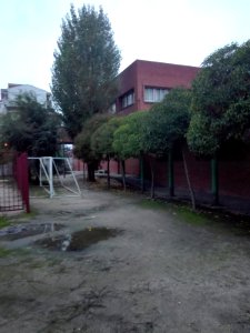 22- Árboles, paisaje