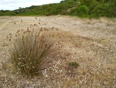 Bord de mer