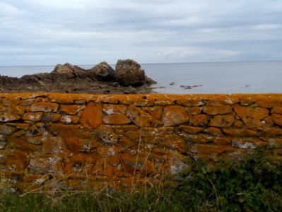 Muret en bord de mer