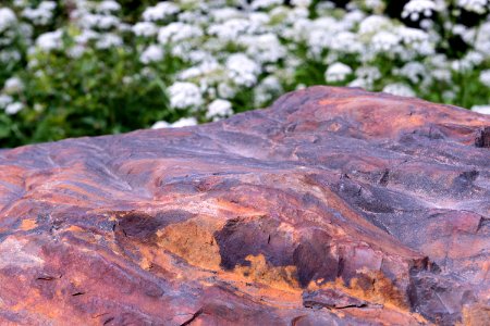 Rust covered rock
