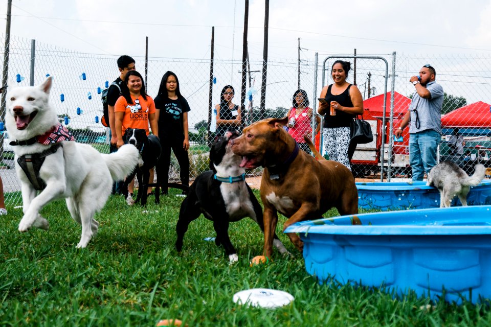 Turn up with your PUP-78