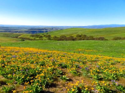 Dalles Mountain Ranch in WA