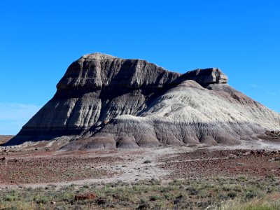 Petrified Forest NP in AZ
