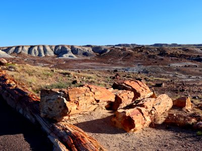 Petrified Forest NP in AZ