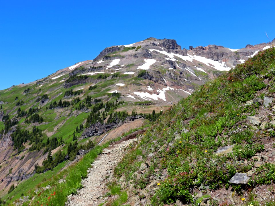 Goat Rocks Wilderness in WA
