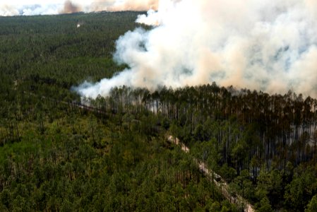 West Mims Wildfire