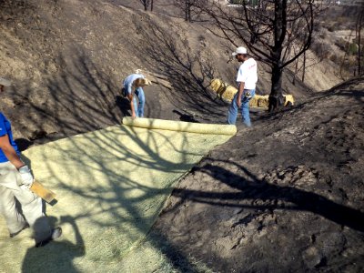 Erosion Project