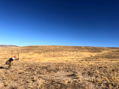 Planting Sagebrush