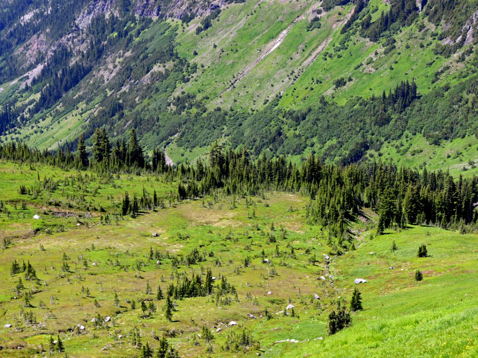 Goat Rocks Wilderness in WA