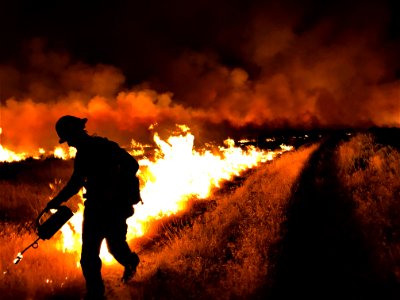 BLM Fire and Aviation Photo Contest 2020