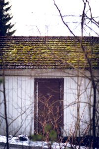 Moss covered roof photo