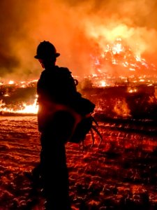 BLM Fire and Aviation Photo Contest 2020