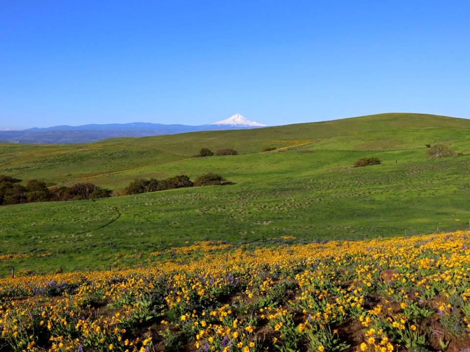 Dalles Mountain Ranch in WA