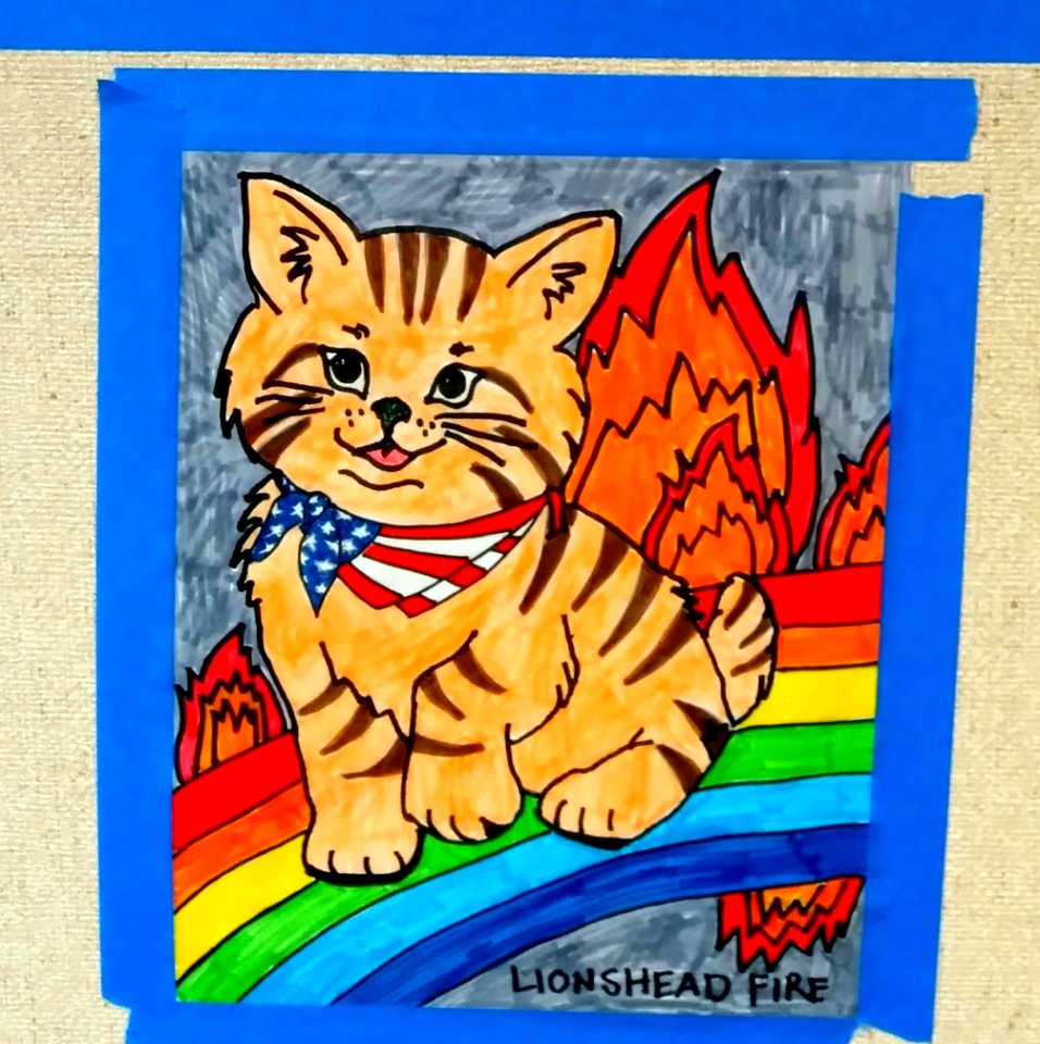 2020 BLM Photo Contest: Fire Camp