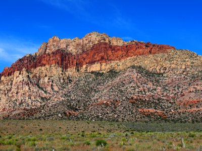 Red Rock Canyon in NV photo