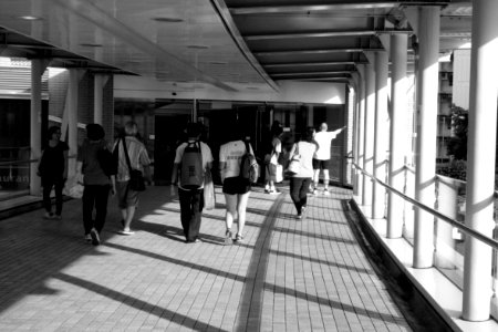 Canon 350D 3.5-5.6 55mm 6
