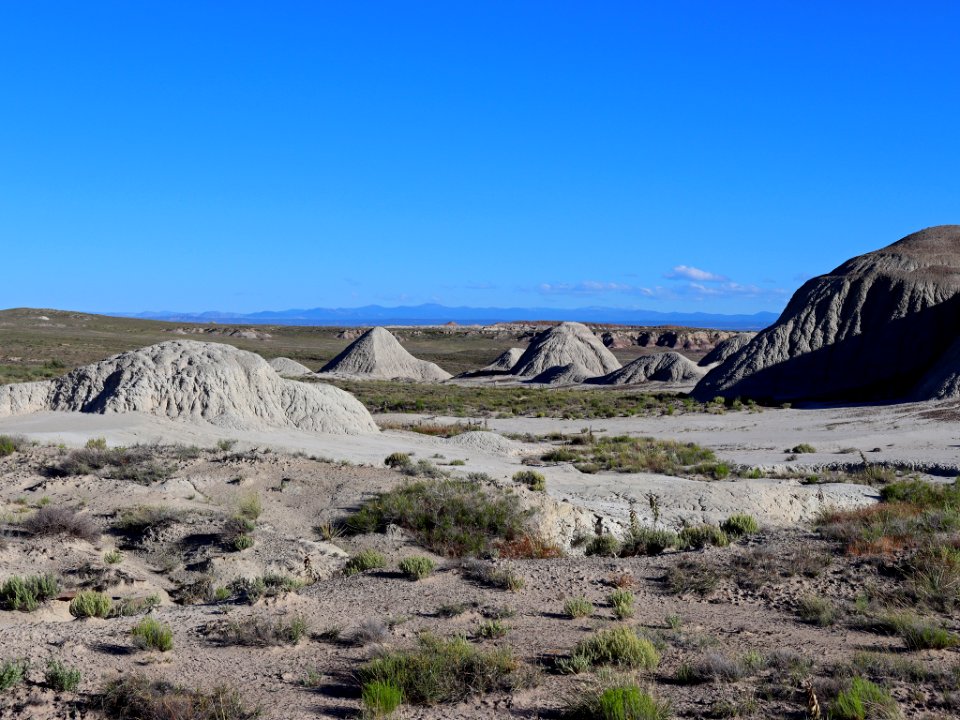 Petrified Forest NP in AZ