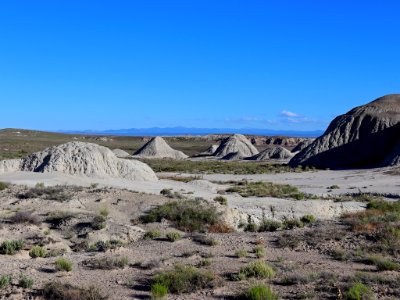 Petrified Forest NP in AZ