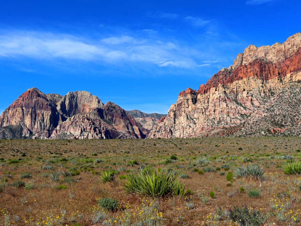 Red Rock Canyon in NV