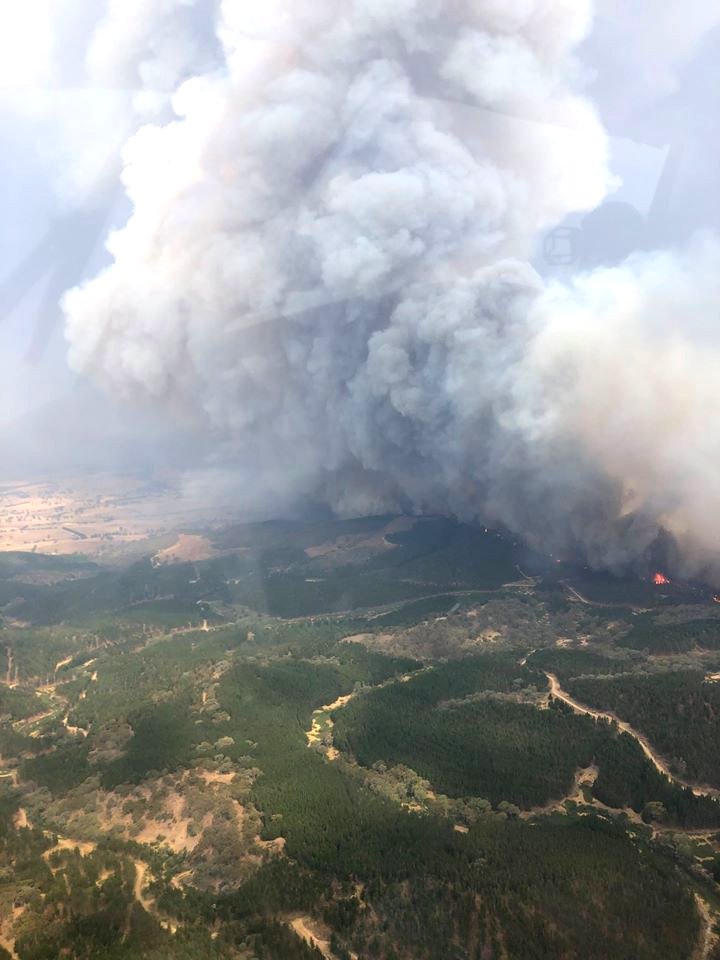 Australia Bush Fires photo