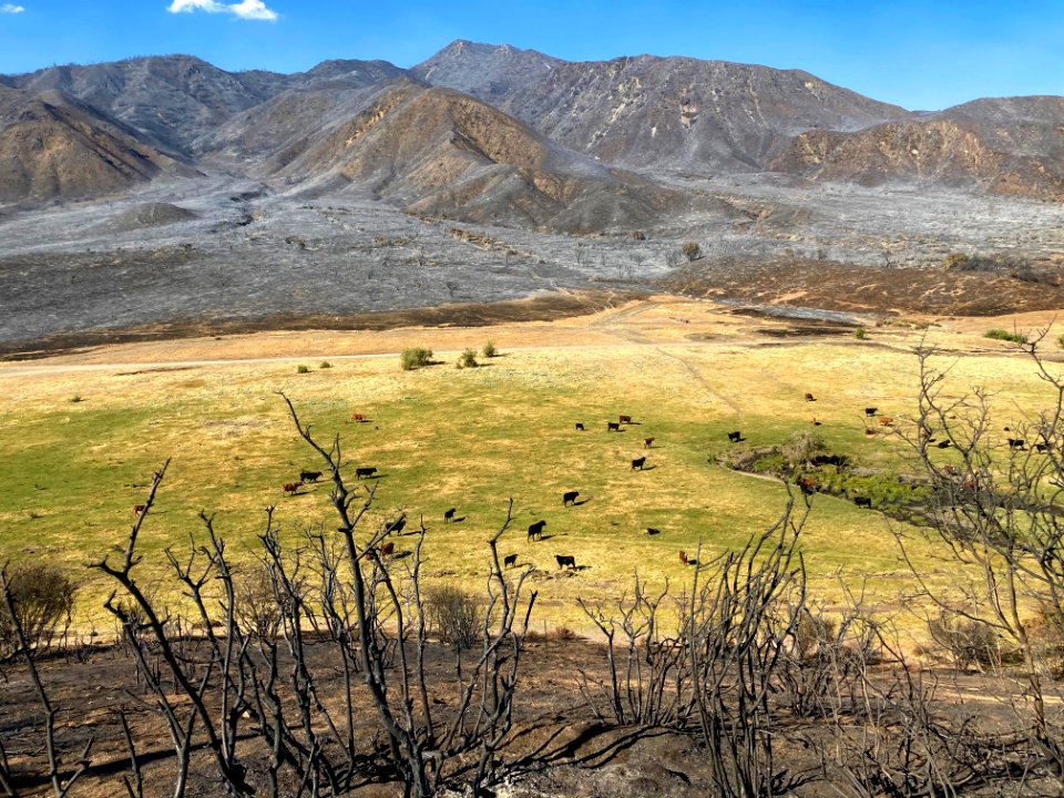 2020 Photo Contest: Land We Protect