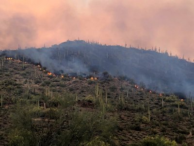 East Desert Fire