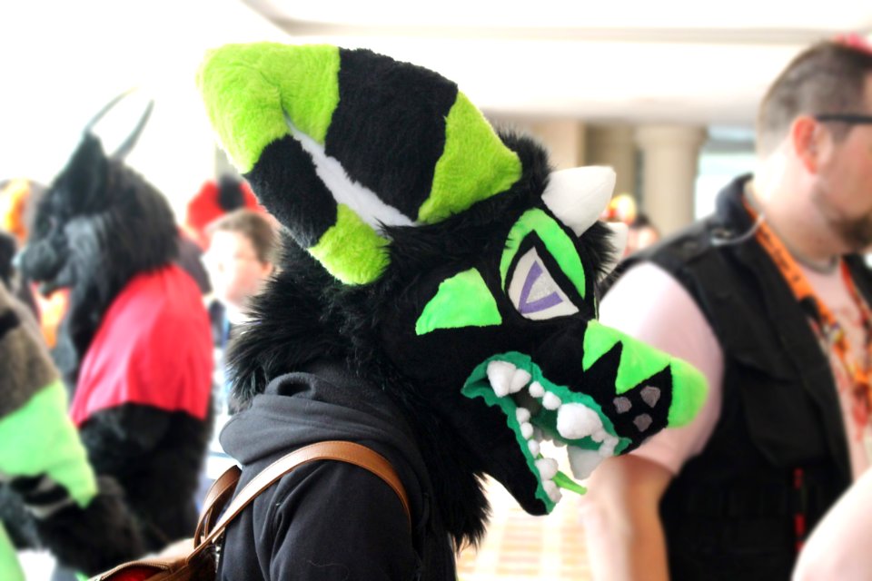 FurTheMoore2019 jv 9