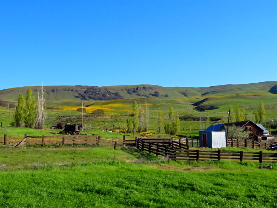 Dalles Mountain Ranch in WA
