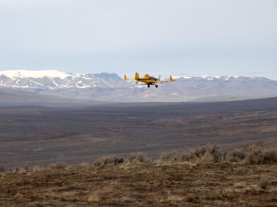 Aerial Seeding