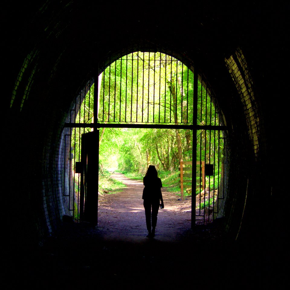 Through the Looking Glass