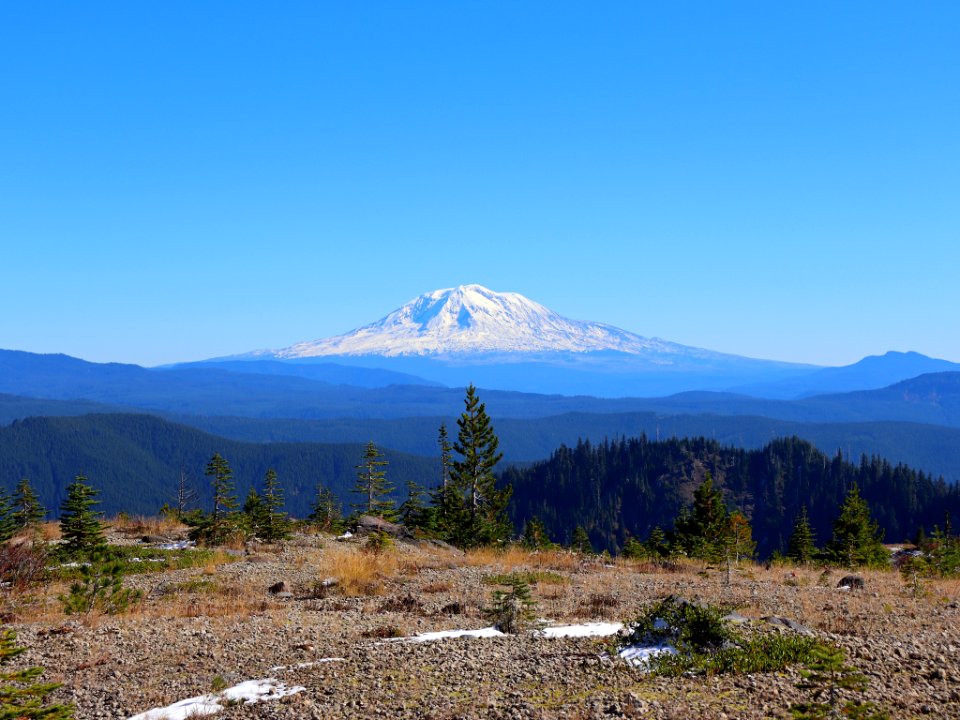 Mt. Adams at Ape Canyon Trail in WA
