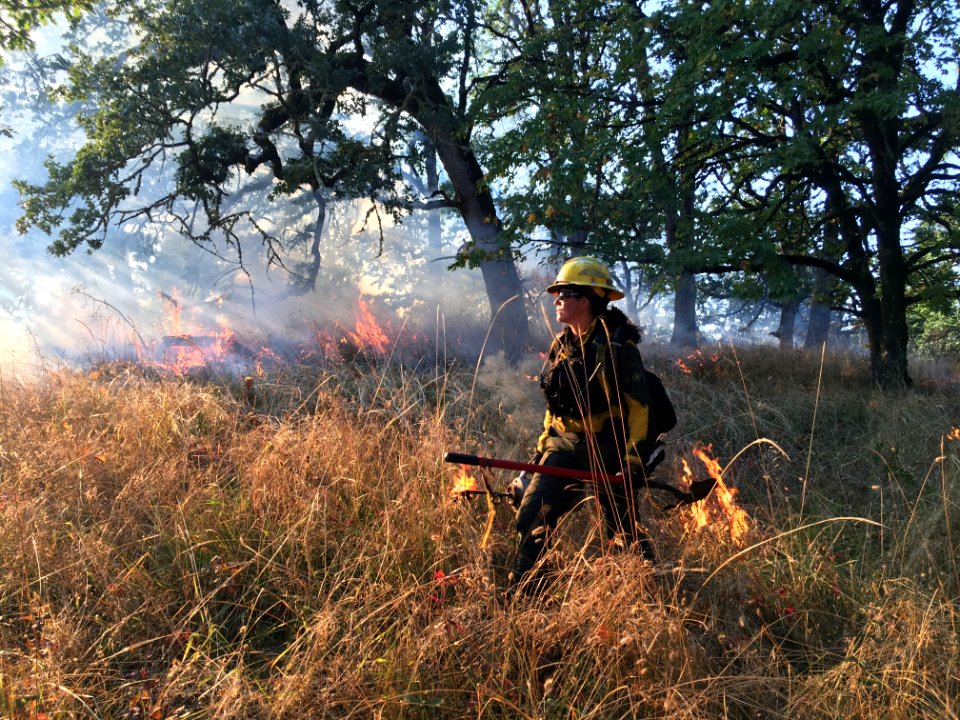 Prescribed Fires Improve the Health of the Land
