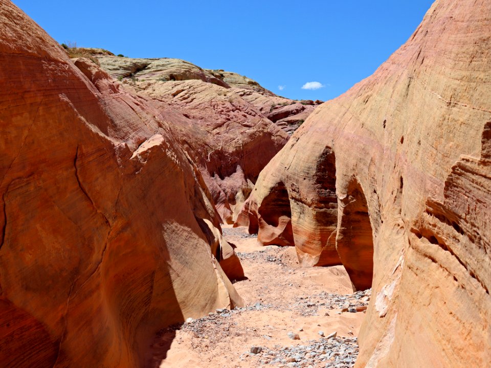 Pink Canyon at Valley Of Fire SP in NV