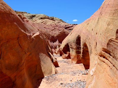 Pink Canyon at Valley Of Fire SP in NV photo