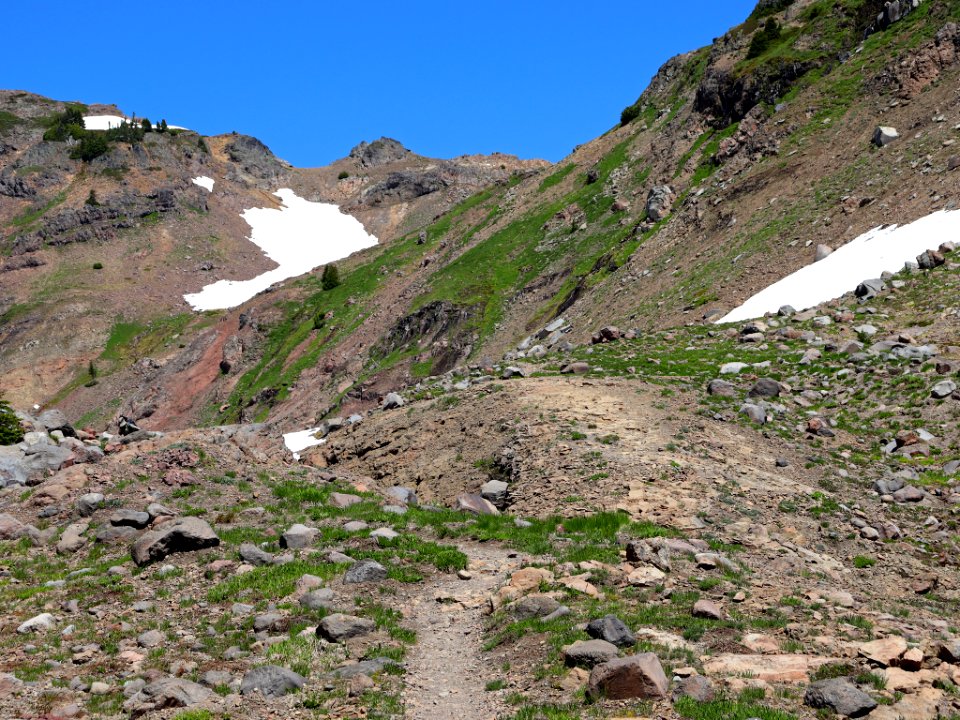 Goat Rocks Wilderness in WA