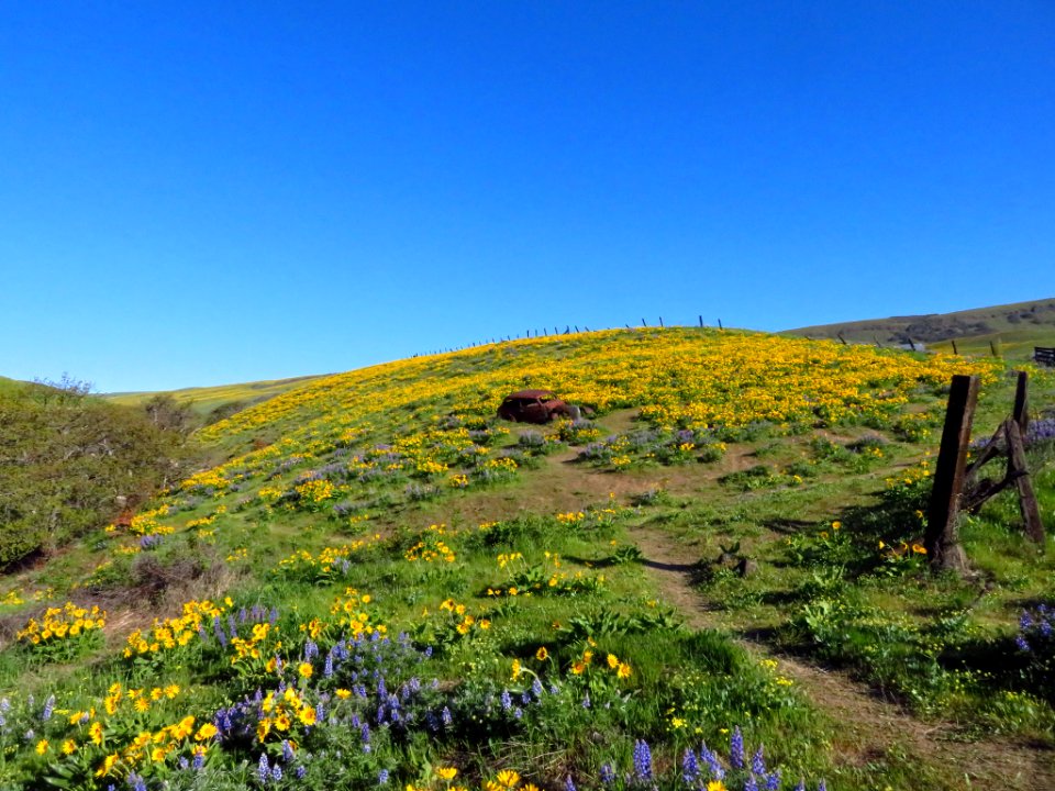 Dalles Mountain Ranch in WA