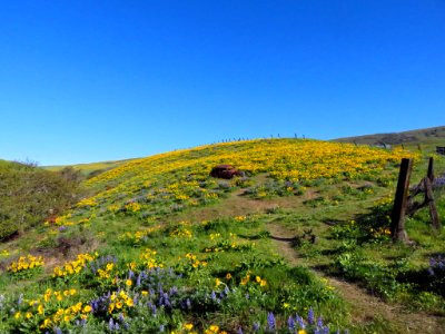 Dalles Mountain Ranch in WA