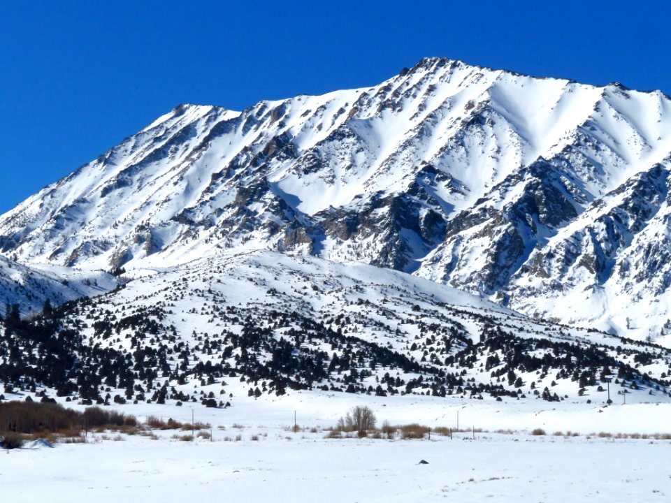 Sierra Nevada in CA