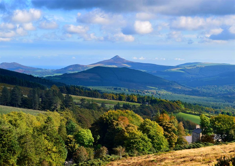 Sugarloaf Mountain, Wicklow