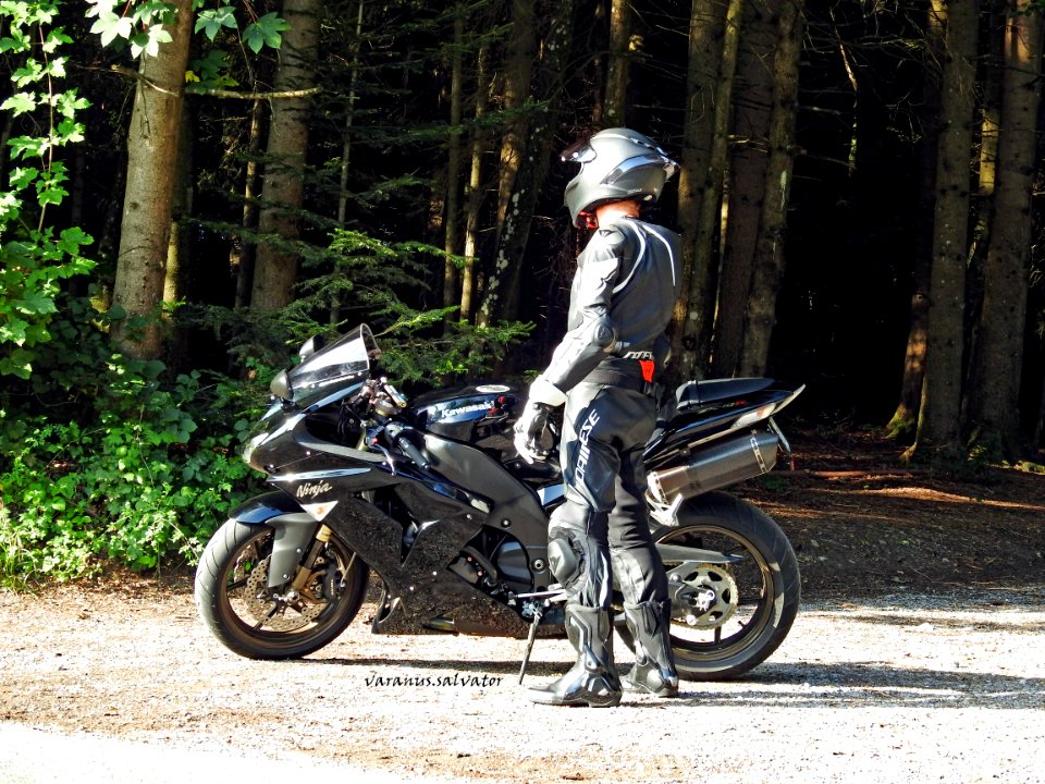 Summer 2019: in the forest.