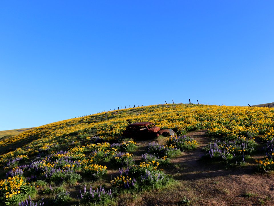 Dalles Mountain Ranch in WA