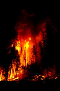 2020 Photo Contest: Land We Protect