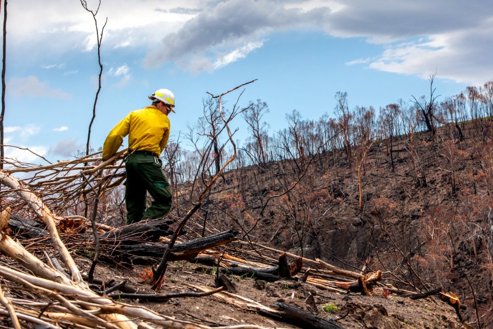 US firefighters in Australia