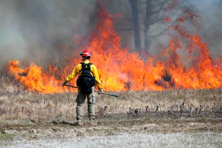 Wildfires in National Parks