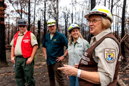 An interagency effort