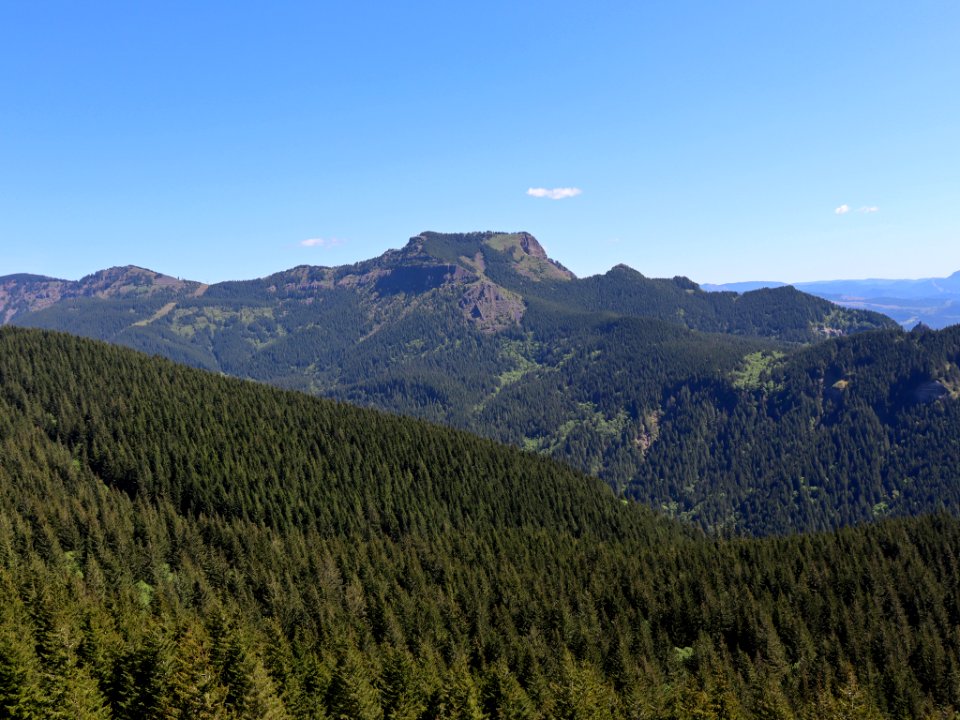 Hamilton Mountain in WA