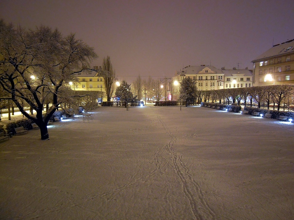 Evening lights winter photo