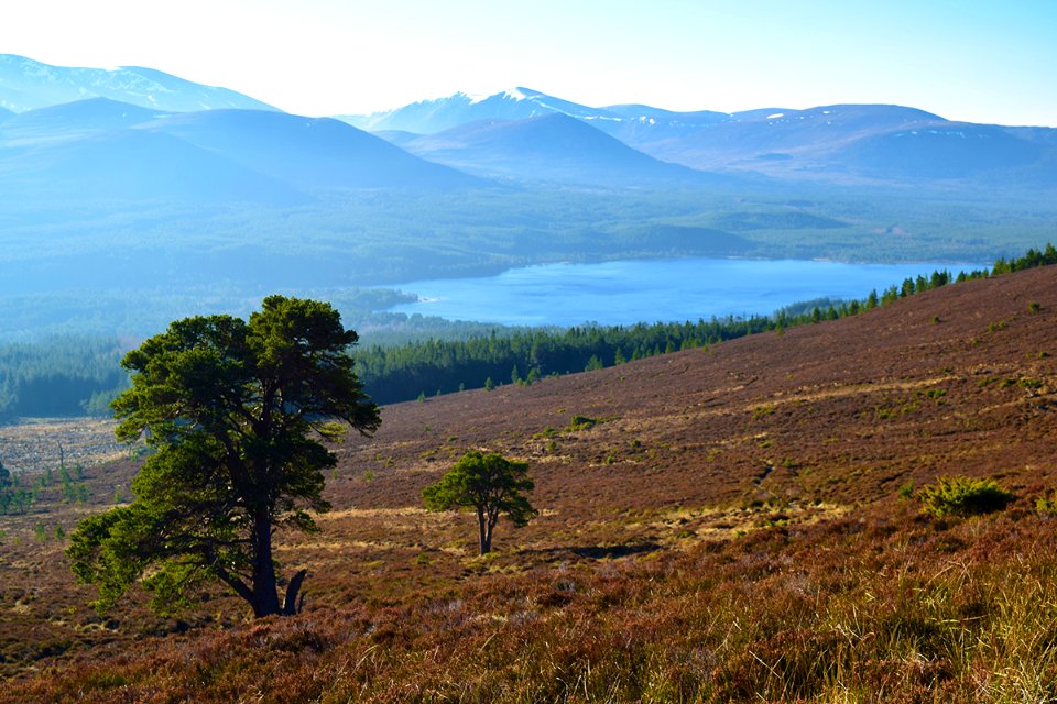Avonmore Scottish Highlands
